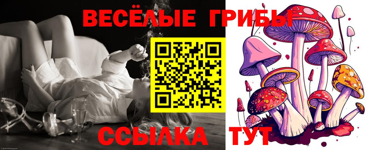 купить наркотик  Вход с VPN  Нальчик  Галлюциногенные грибы Psilocybe 