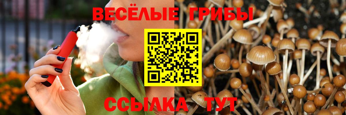 Галлюциногенные грибы прущие грибы Нальчик